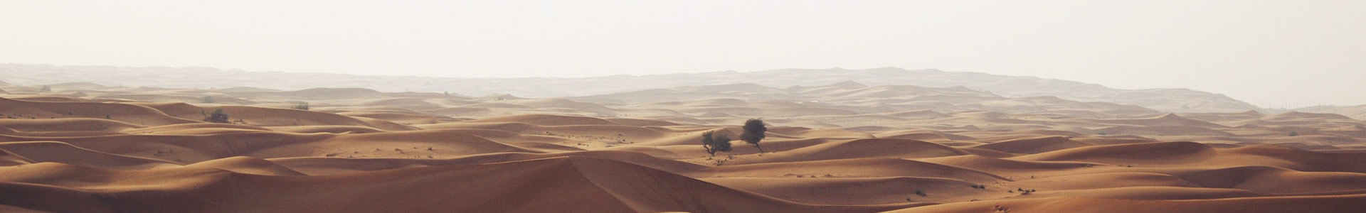 ·ܣˣƼ޹˾